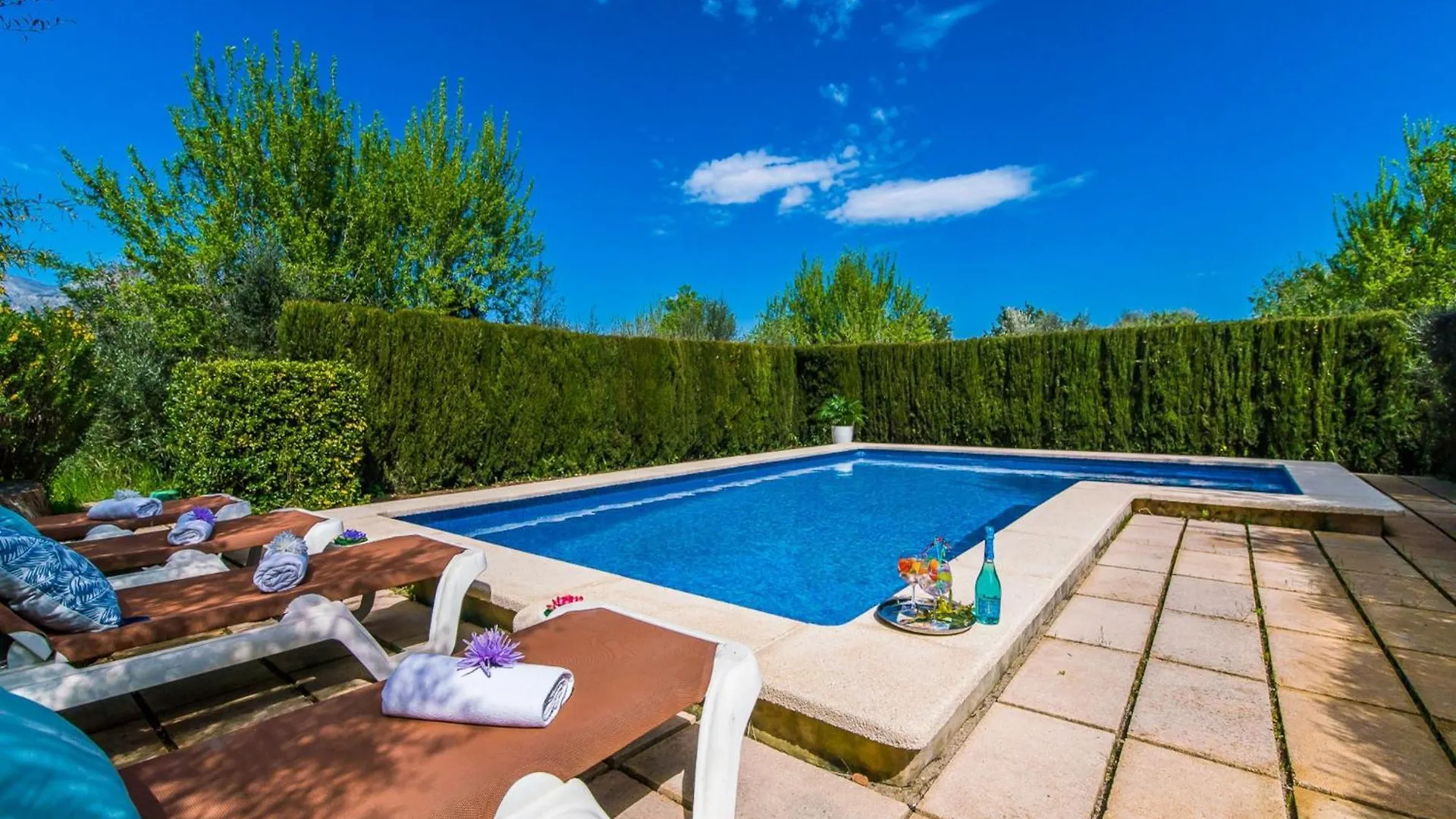Holiday Home In Inca With Pool & Mountain Views